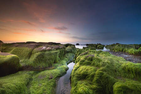 夕阳下的青苔海岸，碧水蜿蜒如画