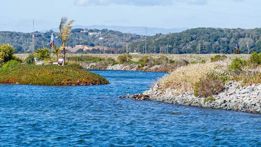 河岸小岛椰影，远山如黛