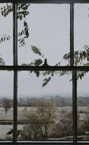 窗棂外萧瑟秋景与枯枝剪影