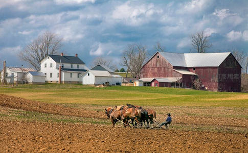 农夫驾马犁田展现田园劳作画卷