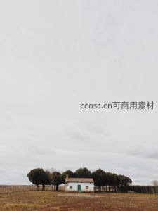 白屋独坐旷野中，灰云低垂显寂寥