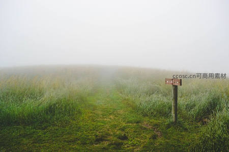 浓雾笼罩草原小径与路标