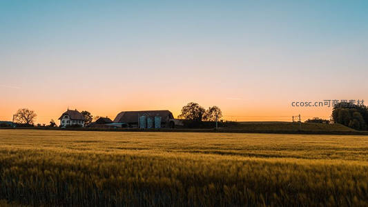 金色麦浪涌向农舍，晚霞染天际如油画般绚烂
