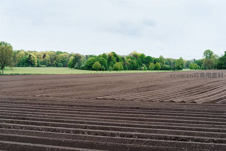 整齐犁沟延伸田野，远林如画映天际