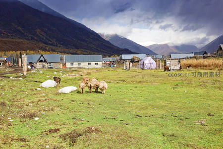 山谷牧场牛羊悠闲，村舍错落云影变幻