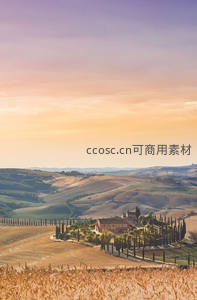 托斯卡纳金色丘陵，夕阳下的田园诗画