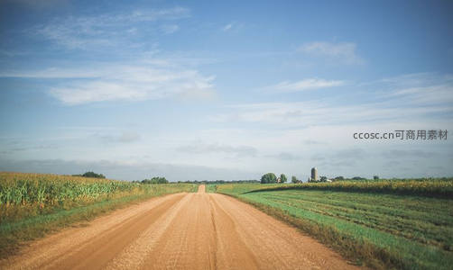乡间土路延伸向远方麦田与蓝天
