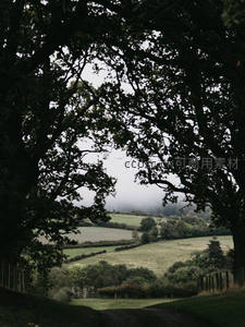 树影掩映乡间路，远山云雾似仙境