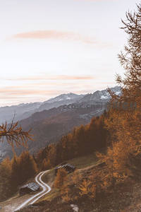 秋日高山公路，金黄林海与雪峰交相辉映