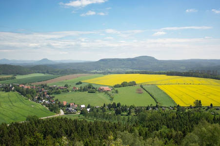 金黄油菜花海环抱村庄