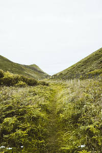 绿野小径通幽处，山峦叠翠映苍穹