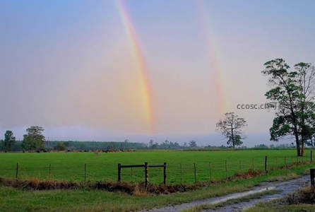 双彩虹横跨牧场，雨后清新醉人心