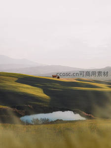 晨雾中的金色丘陵与静谧水塘