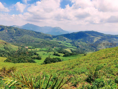 层叠青山间绿意盎然的山谷秘境