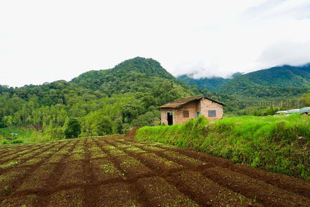 山间梯田旁的红砖小屋静谧安详