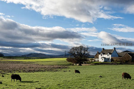 蓝天白云下苏格兰牧场与农舍