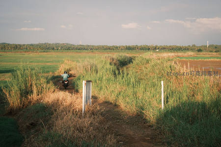 乡间摩托穿行芦苇丛中夕阳斜照