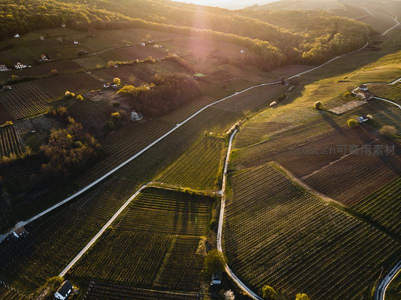 金色夕阳下的梯田与蜿蜒小径