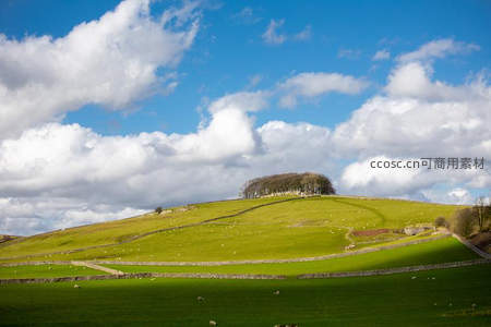 蓝天白云下绿野牧羊图