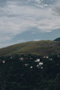 山坡村落掩映绿林之间