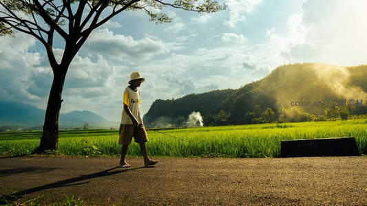 农夫漫步稻田边远山如画