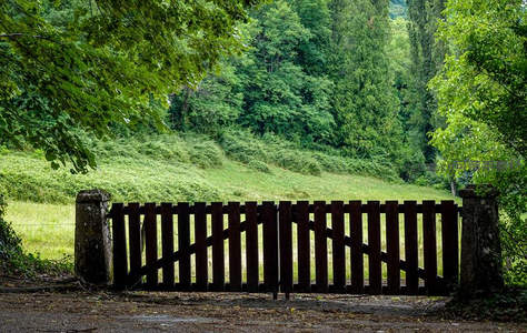 林间木门：通往秘境的幽静入口