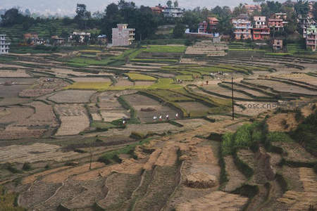 航拍梯田风光与远处村落相映成趣
