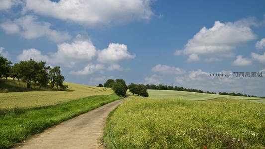 乡间小路蜿蜒田野，蓝天白云下绿意盎然