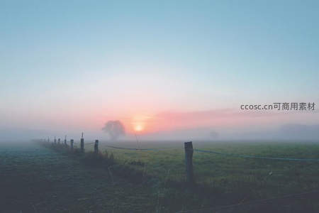 晨雾弥漫，日出时分的寂静田野