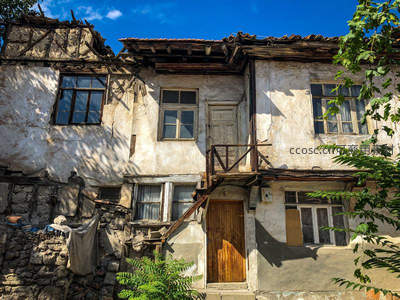 古旧石屋与蓝天绿叶相映