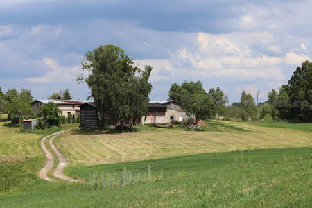 宁静田园风光中的农舍与绿野