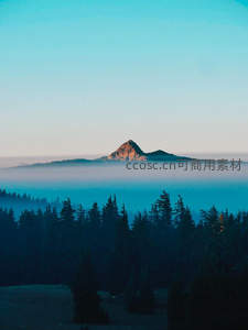 薄雾缭绕山巅的静谧森林