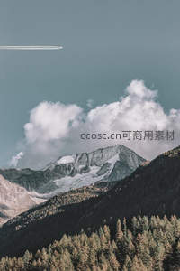 飞机掠过，雪山森林的壮丽画卷