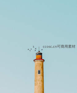 灯塔顶端群鸟盘旋