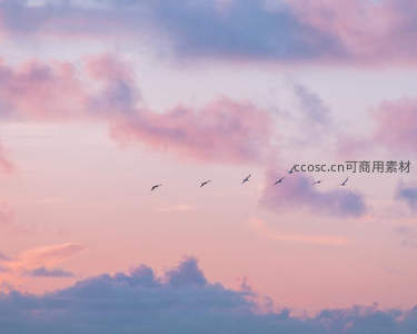 粉紫霞光中飞鸟掠过云层