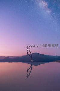 星空下的枯树倒影，静谧如画