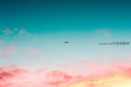 飞鸟掠过霞光天际，自由翱翔