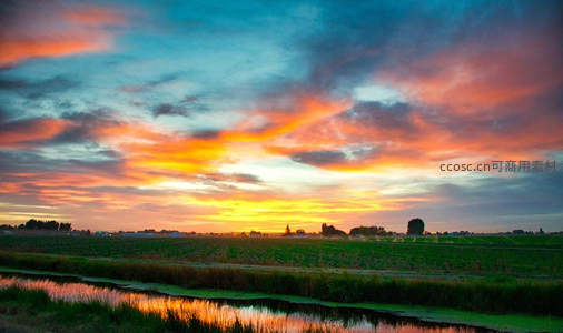 田园水渠倒映火烧云绚烂如油画