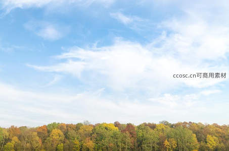 秋日森林天际线，层林尽染映蓝天