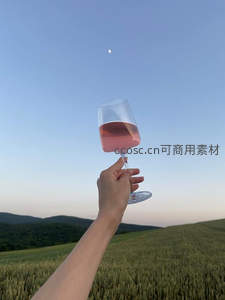 田野举杯邀明月，粉酒映霞光