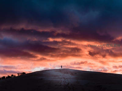 孤影伫立沙丘，晚霞如火燃烧