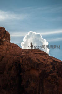 岩顶孤鹿剪影，白云为冠壮丽天际