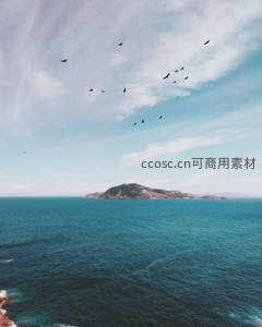 群鸟翱翔碧海之上，远岛静卧天边