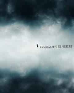 孤鹰翱翔于风暴云层之间