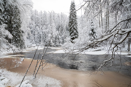 雪覆森林溪流静谧冬景