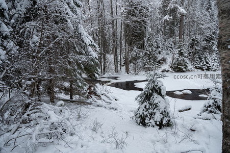 雪覆森林溪流静谧冬日美景