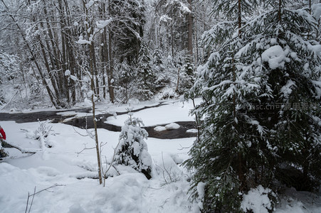 雪中松树溪畔冬日诗意画卷