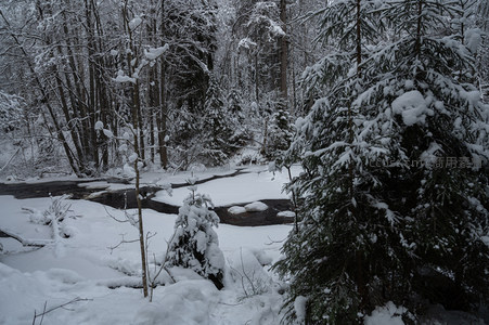 林间雪径溪流如诗如画