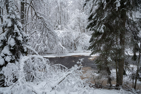 雪覆森林溪流静谧冬日画卷