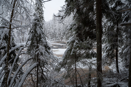 雪林深处小径通幽人影稀